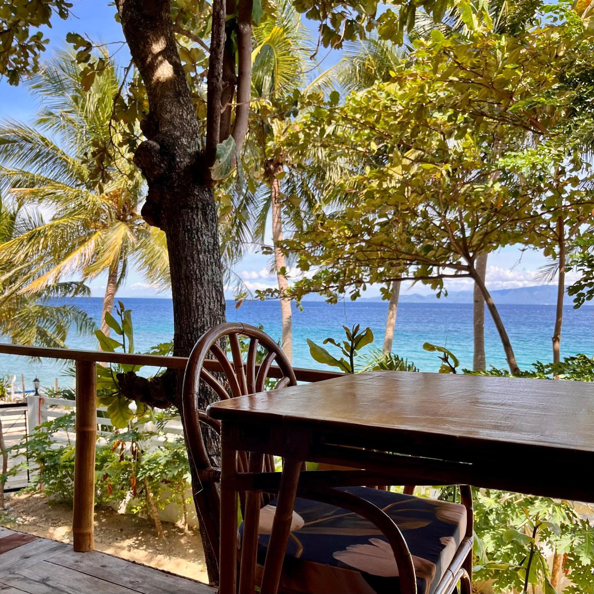 Amami Beachfront Villa With Private Beach Puerto Galera Bagian luar foto